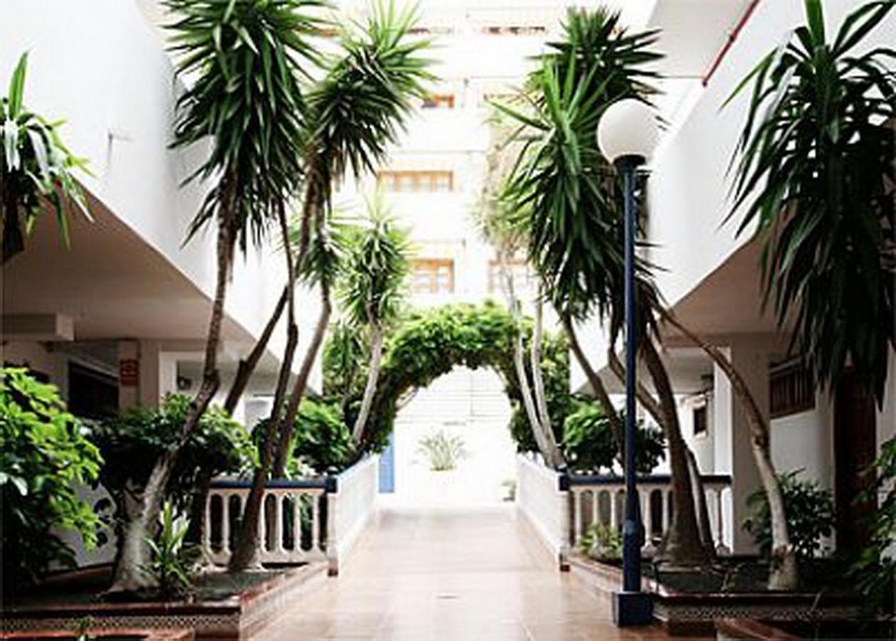 Nice Apartment On Las Americas Beach 플라야데라스아메리카스 외부 사진