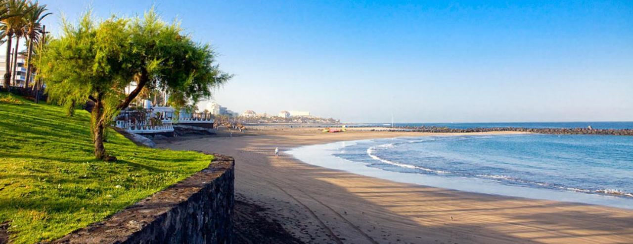 Nice Apartment On Las Americas Beach 플라야데라스아메리카스 외부 사진