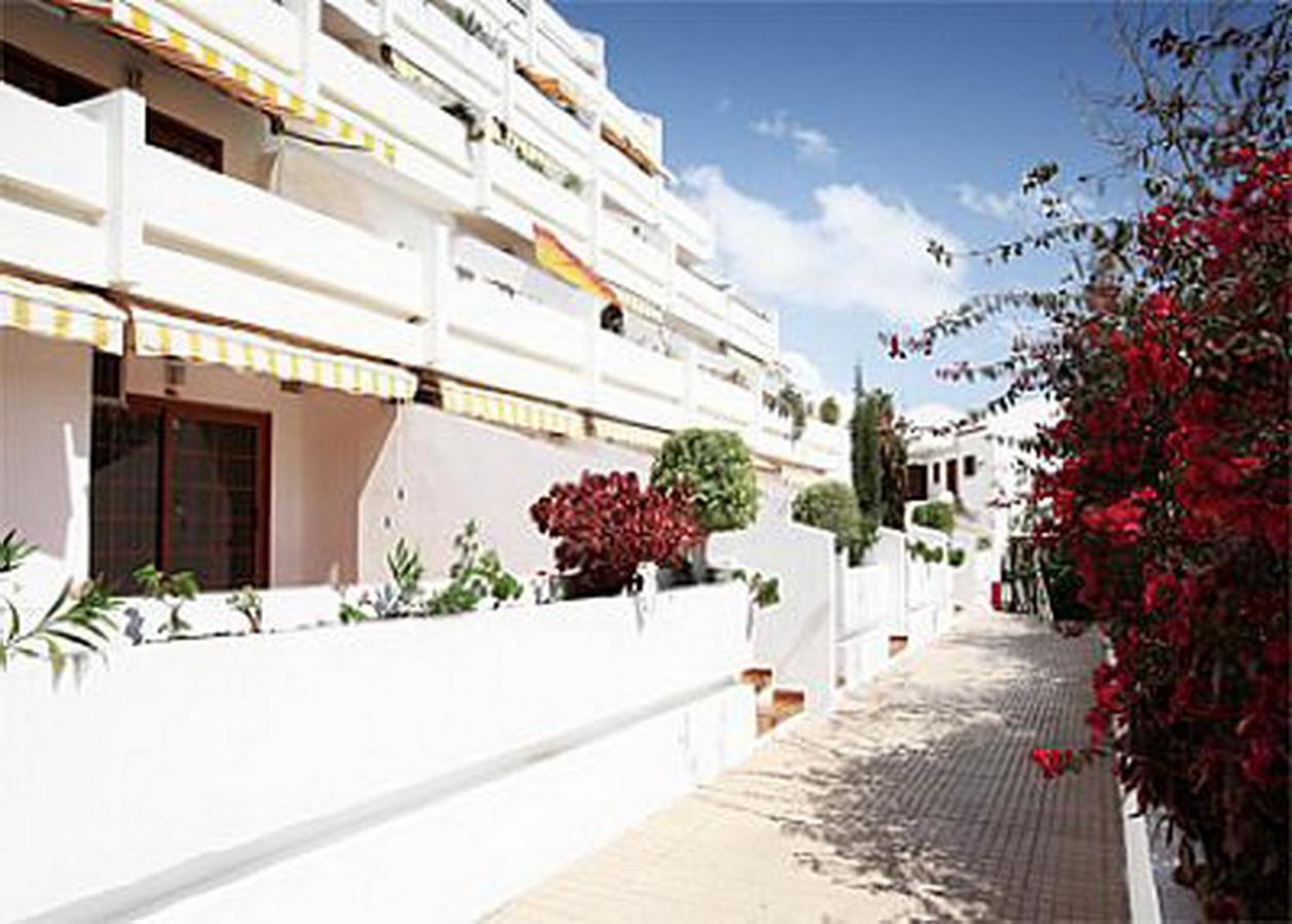Nice Apartment On Las Americas Beach 플라야데라스아메리카스 외부 사진