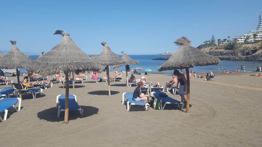 Nice Apartment On Las Americas Beach 플라야데라스아메리카스 외부 사진